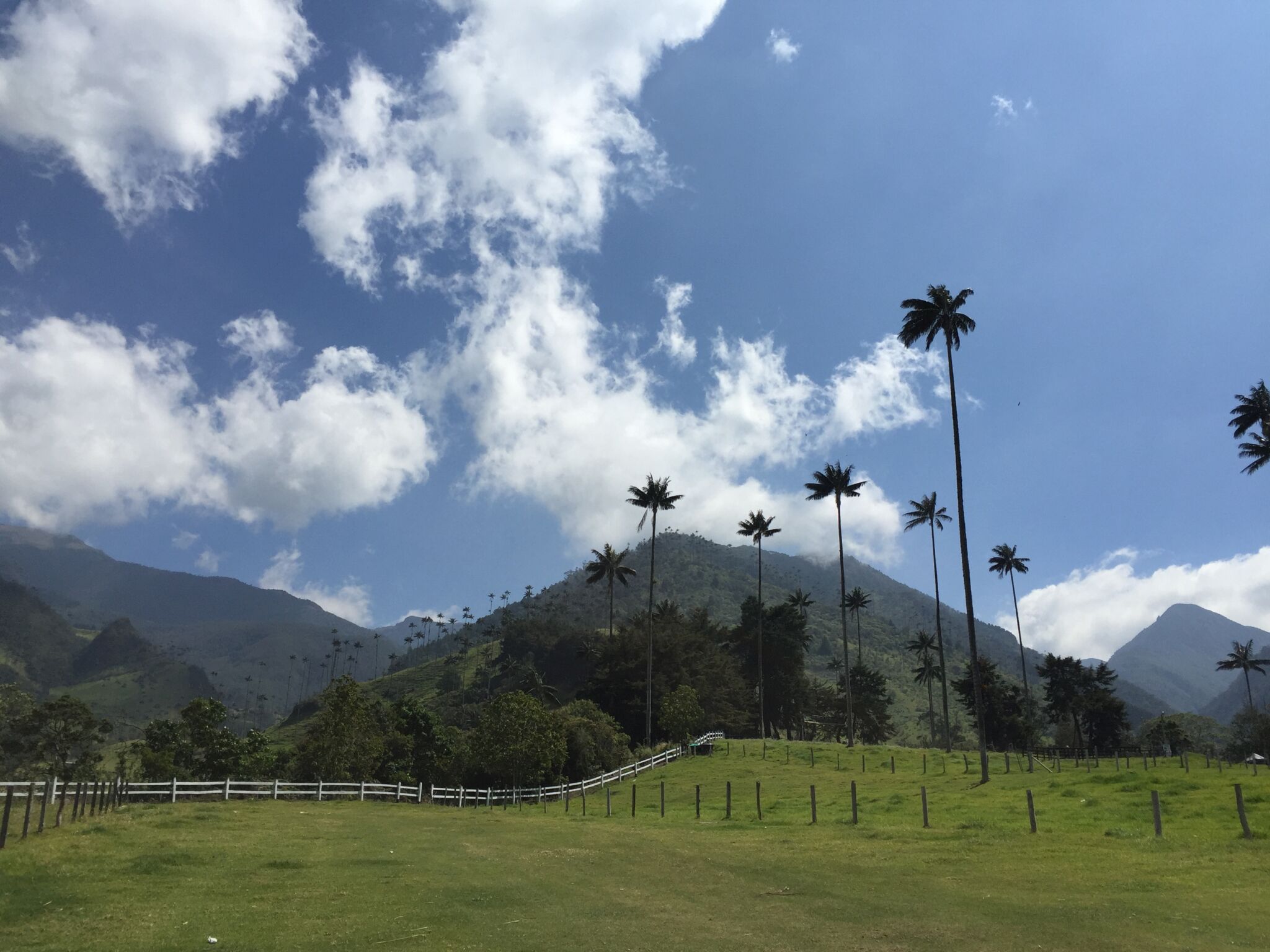 Naturaleza