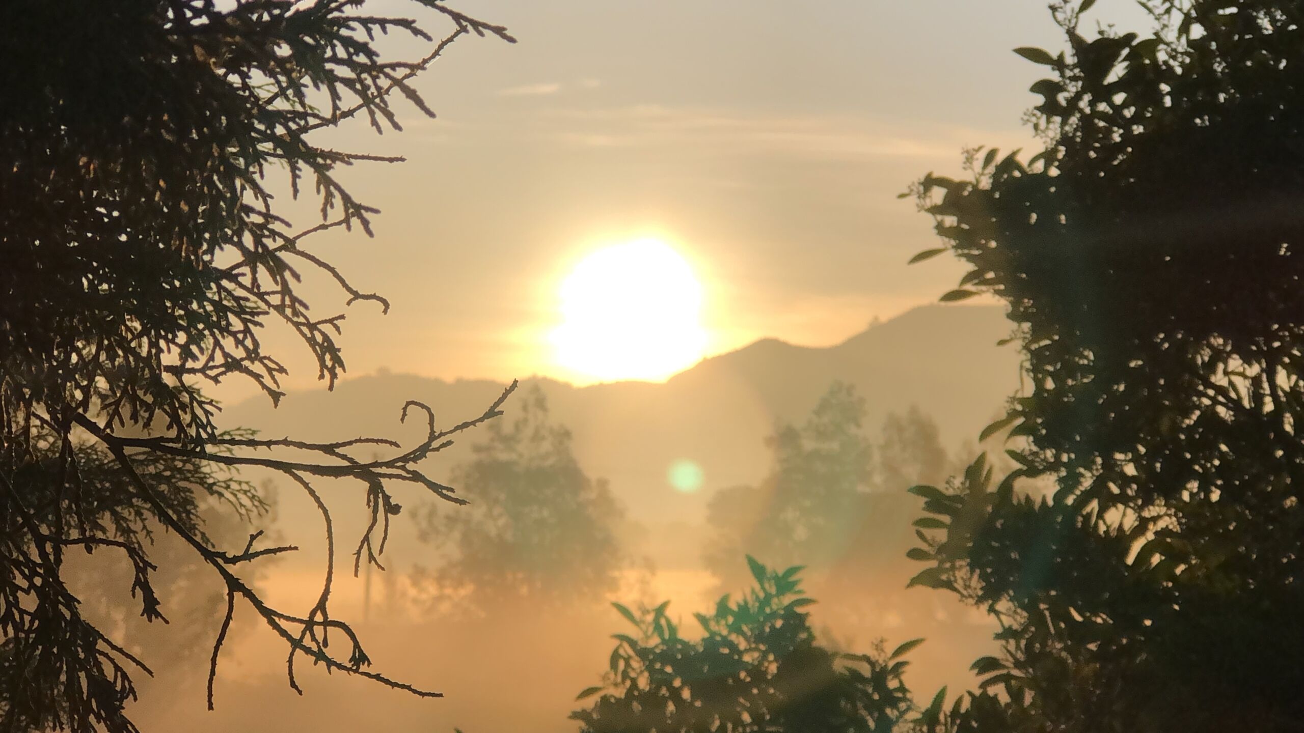 Ritual para cada amanecer